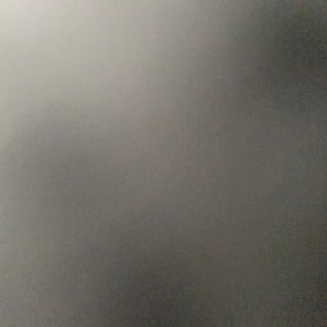 Meet your Posher, Jazmine